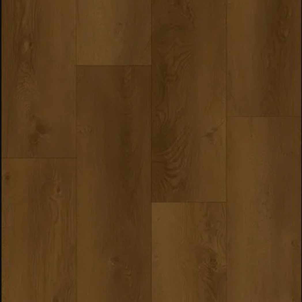 Stanton Carpet WPC LVP Vail Valley Aged Leather 56253