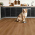 Stanton Laminate Nuvo Grand 8 Ashbourne Autumn 80231 room