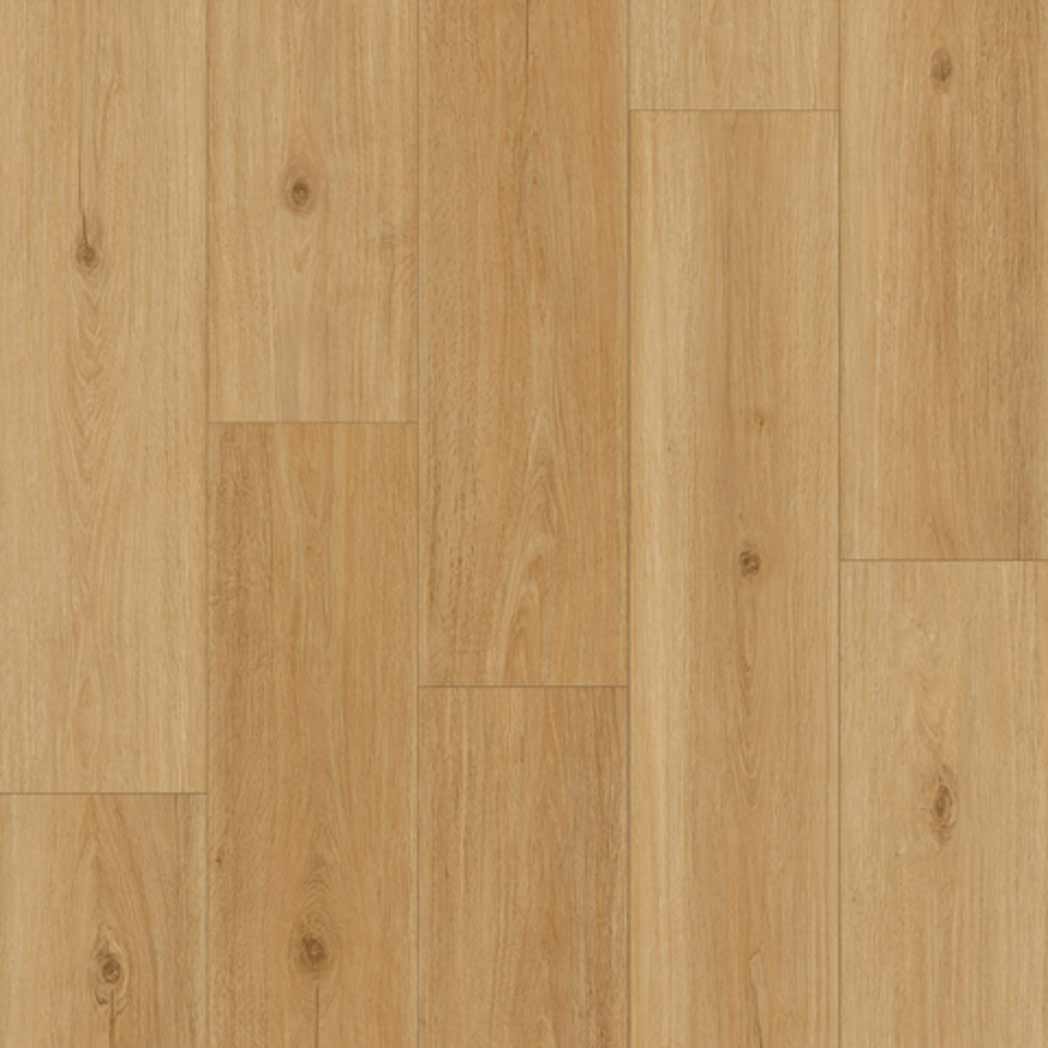 Tarkett Laminate_ ShoreFlor Lighthouse Oak Cay SF071