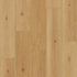 Tarkett Laminate_ ShoreFlor Lighthouse Oak Cay SF071