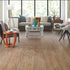 Windlass Flooring Rigid Core LVP Pollux Cosmos WNDLS7POLCOSMOS room