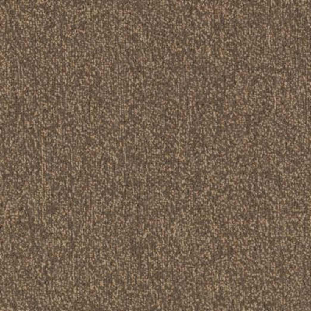 Mohawk Major Factor Tile Wood 858 