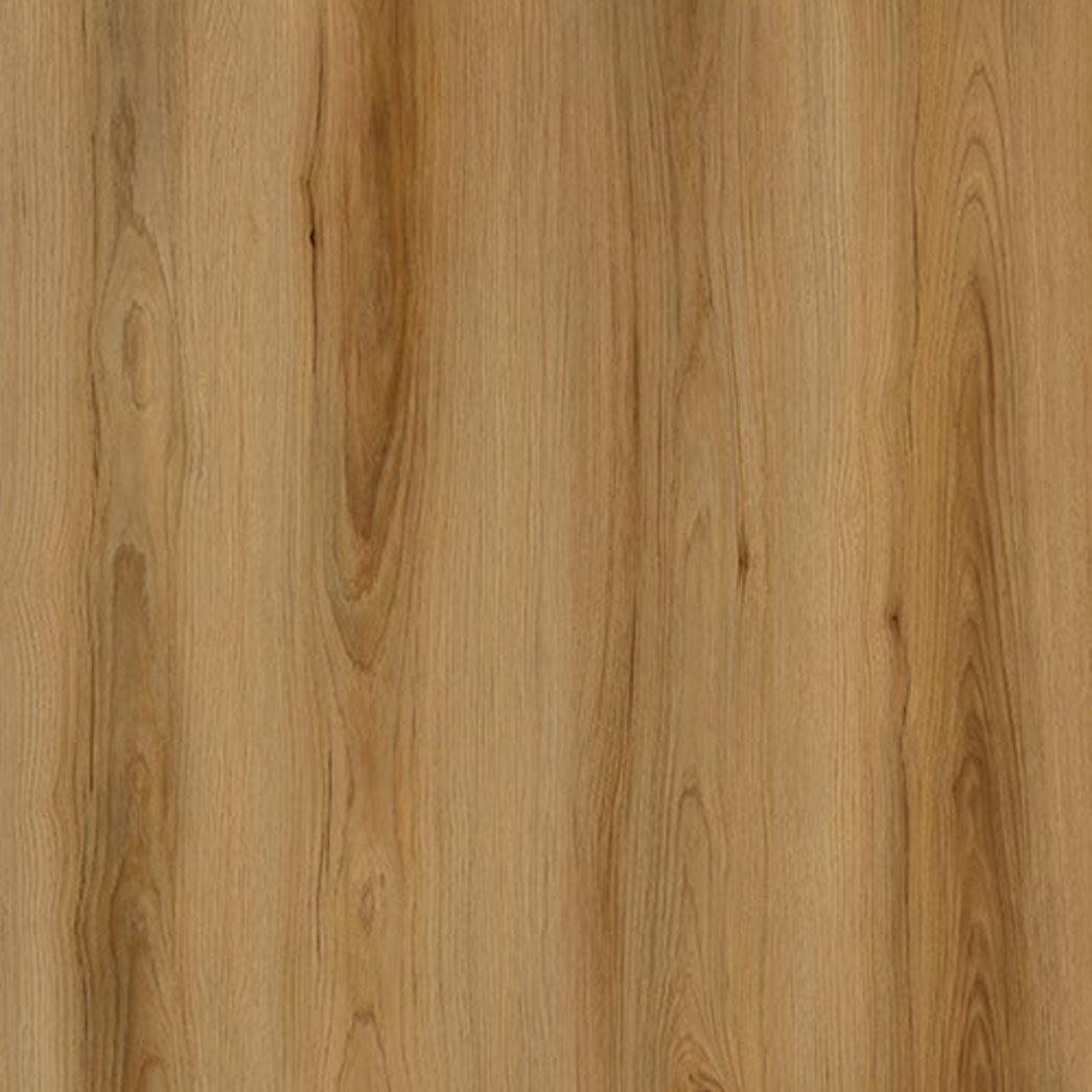 Xulon SPC LVP Chateau Buckingham XF135806CH