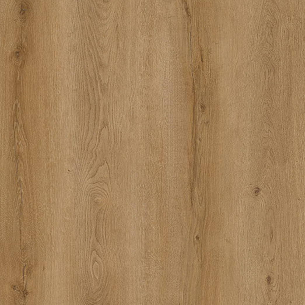 Xulon SPC LVP Chateau Monticello XF134805CH