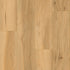 Xulon Flooring Timberline Zion 30mil Warelayer 10mm EIR Pressed Bevel LSPC Vinyl Plank LVP XF2469-00151
