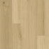 Xulon Flooring Walden Ramandu 30mil Warelayer 12mm EIR Painted Bevel LSPC Vinyl Plank LVP XF1543-00146