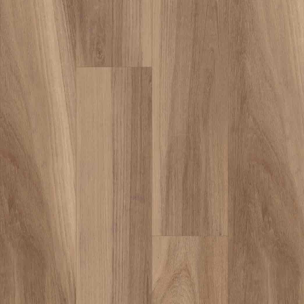 0866V_07058_Cathedral-Oak-Buff-Oak-Swatch