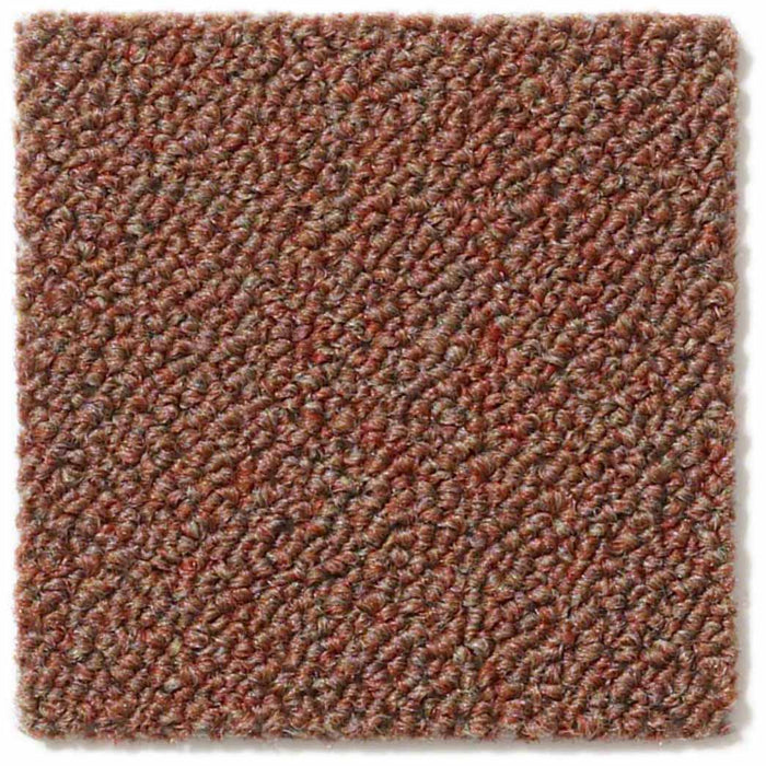 Shaw Counterpart 24x24" Carpet Tile 54816