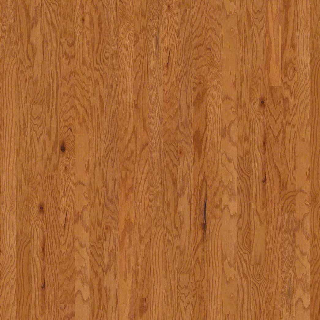 Shaw Albright Oak 3.25 SW581 Caramel 00223