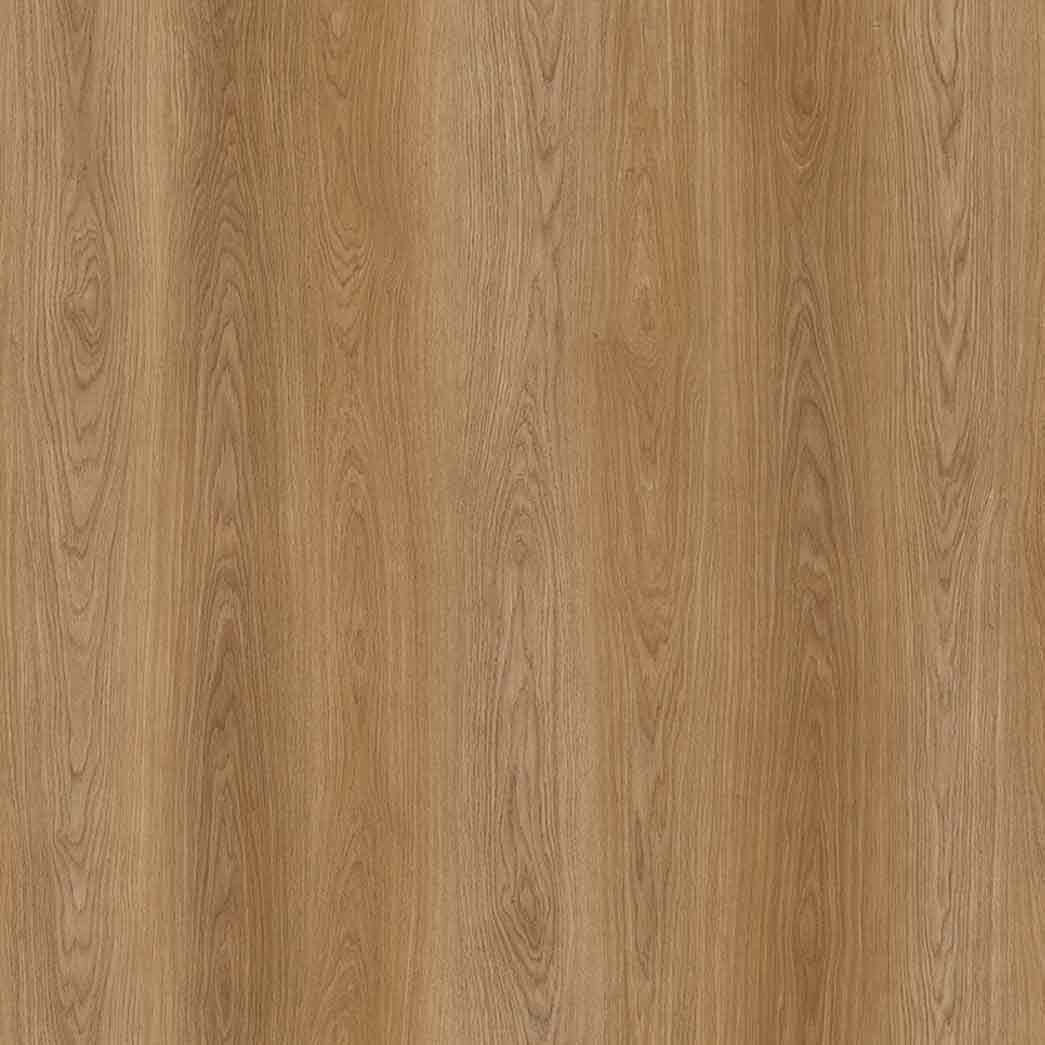 Amorim-WISE-Wood-PRO-Manor-Oak-AGYE001