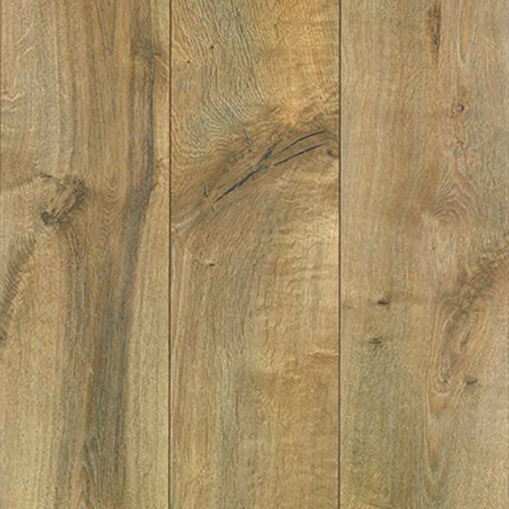 Chesapeake-All-American-Misty-Century-Oak