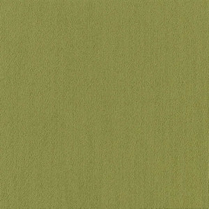 Shaw Color Accents 24x24 54462 Brite Green 62325