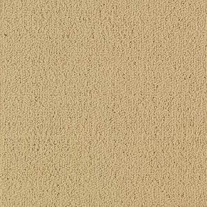 Shaw Color Accents 24x24 54462 Flax 62122