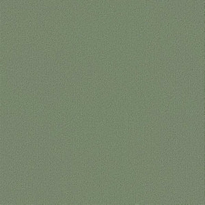 Shaw Color Accents 24x24 54462 Foliage 62310
