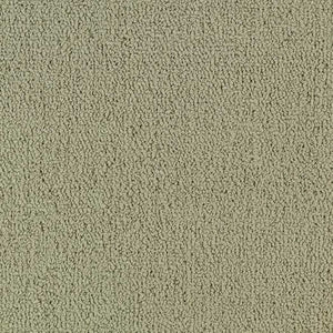 Shaw Color Accents 24x24 54462 Light Taupe 62104
