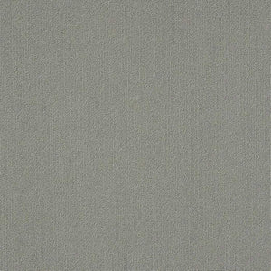 Shaw Color Accents 24x24 54462 Med Gray 62555