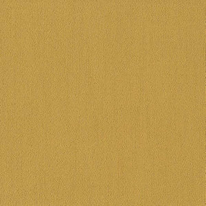 Shaw Color Accents 24x24 54462 Ochre 62210
