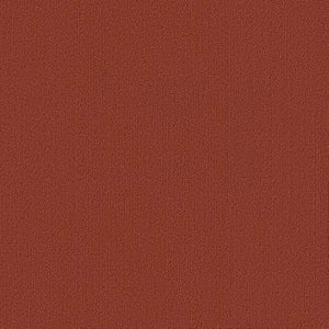 Shaw Color Accents 24x24 54462 Russet 62665