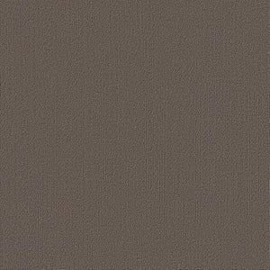 Shaw Color Accents 24x24 54462 Taupe 62760