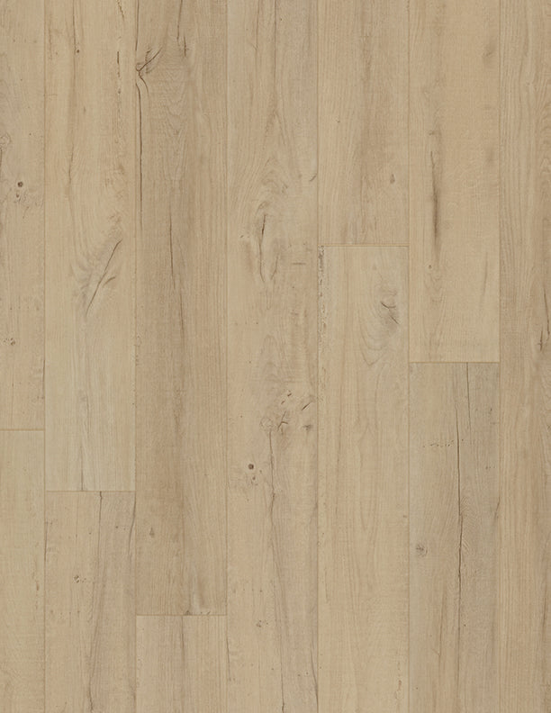 CoreTec Plus Premium VV458 Noble Oak 02702