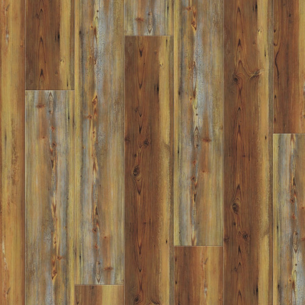 CoreTecPlusXLEnhanced9_VV035-