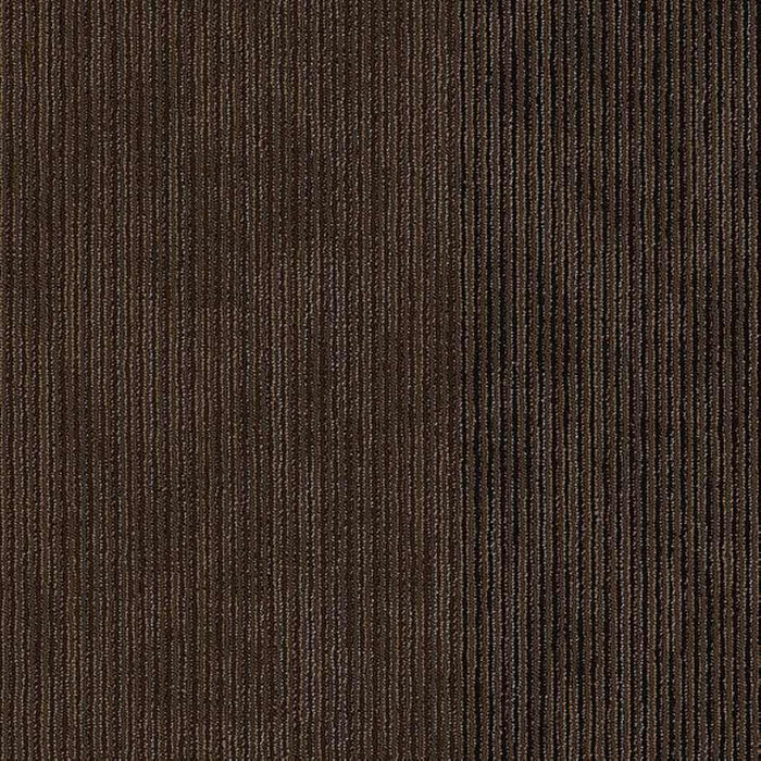 Shaw Disclose 24x24 Carpet Tile 54905