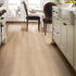 Shaw Paladin Plus 7" Luxury Vinyl Plank 0278V