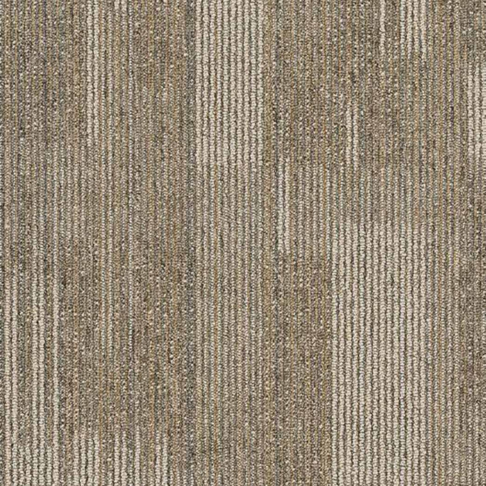 Shaw Pure Attitude 18x36 Carpet Tile 54842
