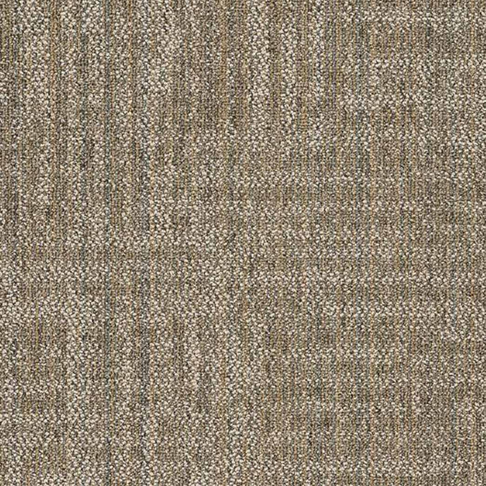 Shaw Raw Beauty 18x36 Carpet Tile 54843