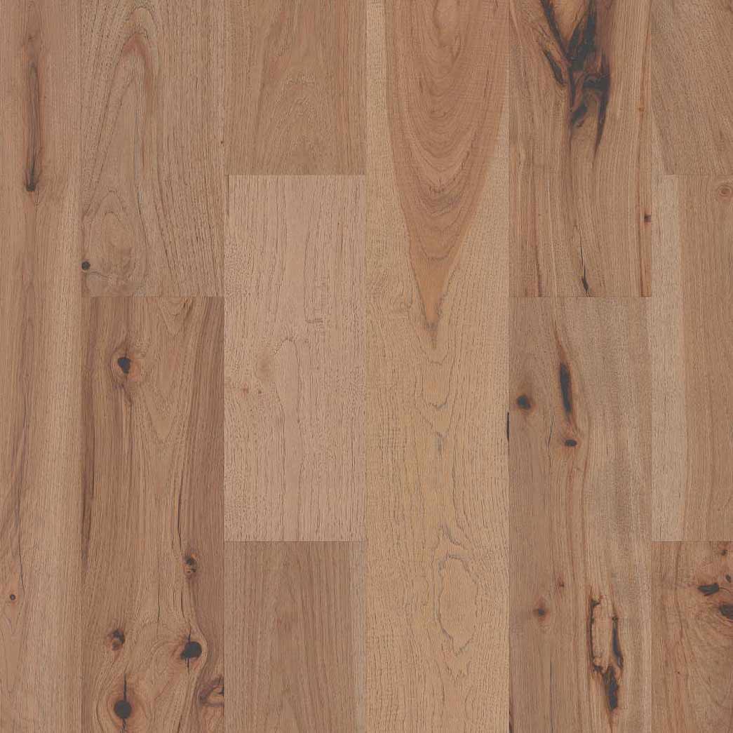 SHAW-221SA-INSPIRATIONS-HICKORY-01033-Luminous---1