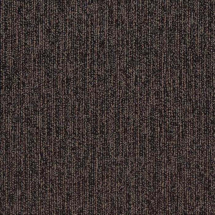 Shaw Step Right In 24x24 Carpet Tile 54860